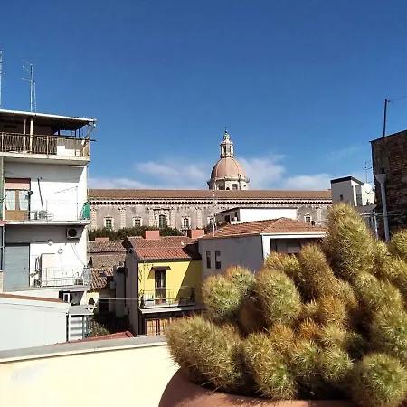 Casa Romans, Via Della Palma, 63